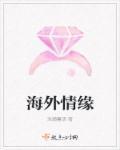 海外情缘H文