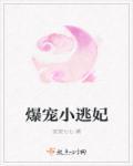 爆宠小萌妃