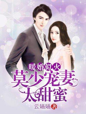 暖婚似火唐沫儿