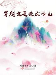 穿越是门技术活免费