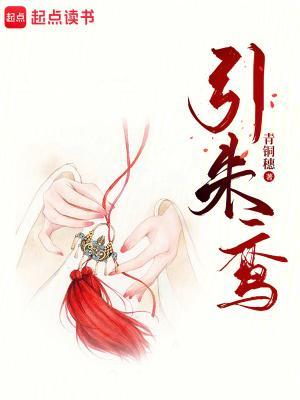 引朱鸾乐文吧