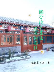 四合院之重生成为何雨柱毛利