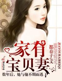 家有宝贝妻by小清欢讲了啥